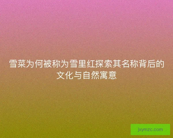 雪菜为何被称为雪里红探索其名称背后的文化与自然寓意