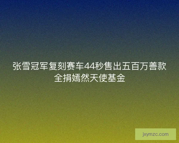张雪冠军复刻赛车44秒售出五百万善款全捐嫣然天使基金