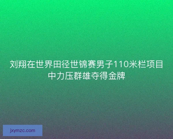 刘翔在世界田径世锦赛男子110米栏项目中力压群雄夺得金牌 刘翔在世界田径世锦赛男子110米栏项目中力压群雄夺得金牌