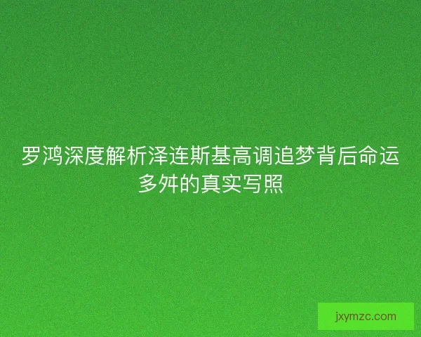 罗鸿深度解析泽连斯基高调追梦背后命运多舛的真实写照