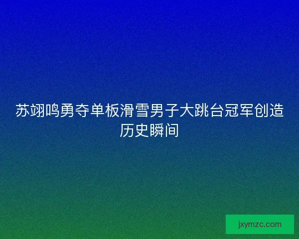 苏翊鸣勇夺单板滑雪男子大跳台冠军创造历史瞬间 苏翊鸣勇夺单板滑雪男子大跳台冠军创造历史瞬间