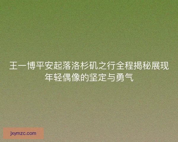 王一博平安起落洛杉矶之行全程揭秘展现年轻偶像的坚定与勇气