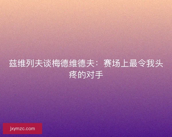 兹维列夫谈梅德维德夫：赛场上最令我头疼的对手